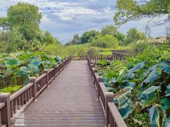 -梁鸿国家湿地公园