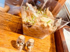 -饵块食光·云南有机手作饵块