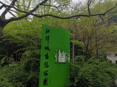 -西湖风景区-江洋畈生态公园