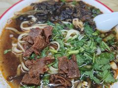 -合肥野生动物园