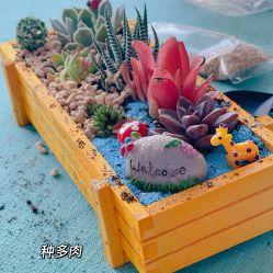 -baby bella小贝拉母婴护理中心(杭州凯宾斯基店)