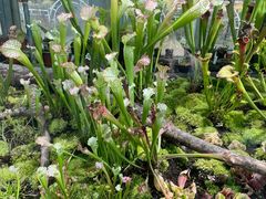 -国家植物园南园