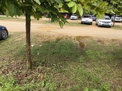 -广州白江湖森林公园