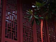 -宝通禅寺