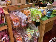-宠物兔专门店(天丰利市场店)