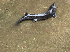 -姥家大锅台水库渔家
