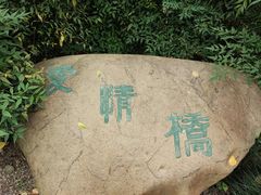 -合肥滨湖国家森林公园