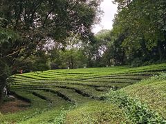 -敬亭山风景名胜区