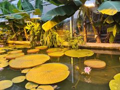 -国家植物园南园