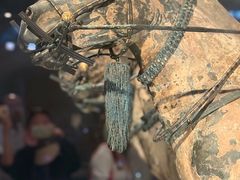 -秦始皇帝陵博物院-丽山园