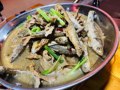 大山野菜参子鱼炖干笋-鱼乐岛餐厅·户外花园主题餐厅