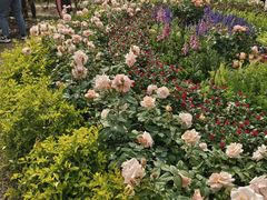 -人民公园(罗湖区)