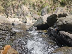 -泸溪河桃酥(五彩城店)