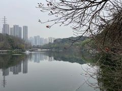 -重庆彩云湖湿地公园