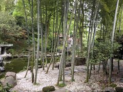 -南山植物园