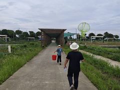 -梁鸿国家湿地公园