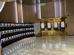 -SFC上影影城(港汇永华IMAX激光店)