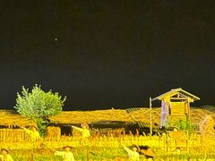 -常德桃花源景区