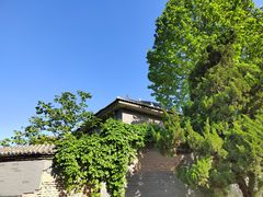 -北京西山国家森林公园