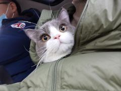 -萌兽医馆·犬猫专科·眼科中心·宠物医院(朝阳门分院)