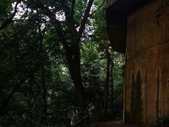 -西湖风景区十里琅珰-五云山