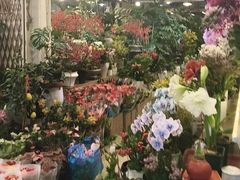 -双季花艺园艺市场(浦东店)