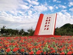 -亚龙湾国际玫瑰谷