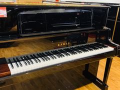 -柏斯琴行(汾阳店)