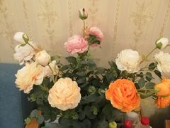 -怡心阁·水疗SPA(天府广场店)