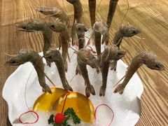 深水虾-尚海豆捞(乐虹坊店)