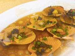 豉汁蒸扇贝-旺富东海大酒楼(海鲜街店)