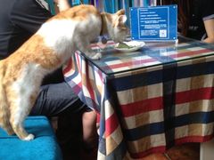 iphone_upload_pic-Sirena海妖日咖夜酒