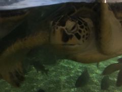 -福州罗源湾海洋世界旅游区