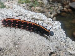 -湖洞水自然风景区