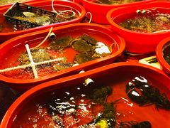 -芦潮港集贸市场