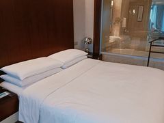 -上海龙之梦万丽酒店