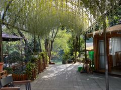 -张鸟园农家乐(张鸟园店)