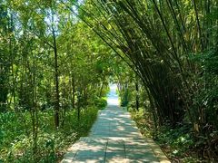 -燕晗山郊野公园