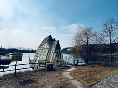-大塘金香草谷