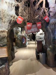 -探洞工场(丰科万达旗舰店)