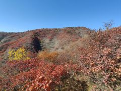 -水峪民俗村
