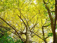 -金堂县云顶石城风景区