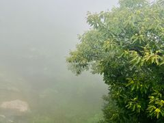 -海上云台山景区