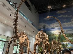 -自贡恐龙博物馆