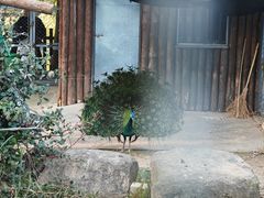 -上方山森林动物世界