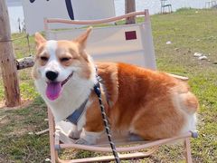 -梁子湖东篱老屋生态庄园