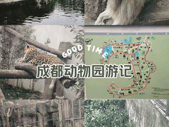 -成都动物园