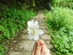 -秦岭终南山世界地质公园翠华山景区