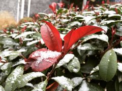-东海森林温泉度假酒店