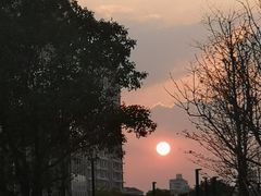 -云锦路(地铁站)